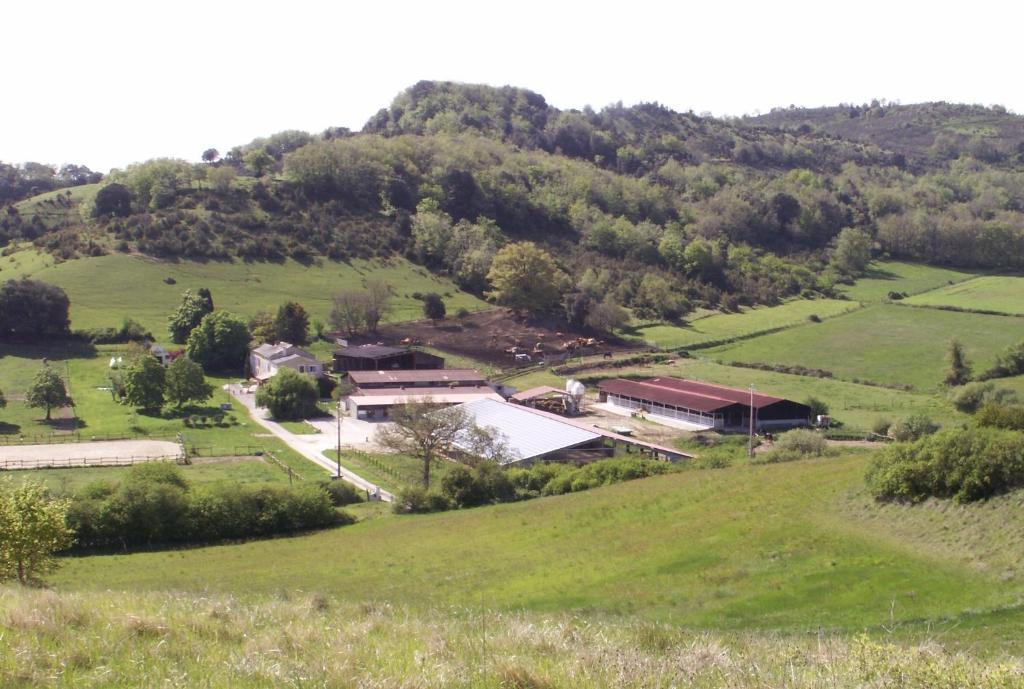 Chambre D'Hotes Domaine De La Trille Mirepoix  Zewnętrze zdjęcie